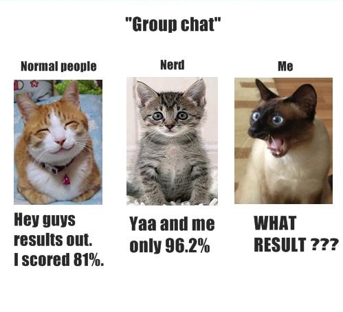 the group chat just before results out.