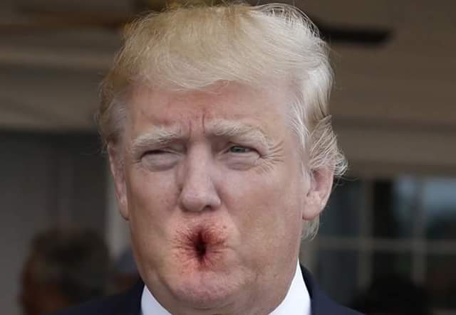 The shithole, Mr. Trump, is directly below your nose.