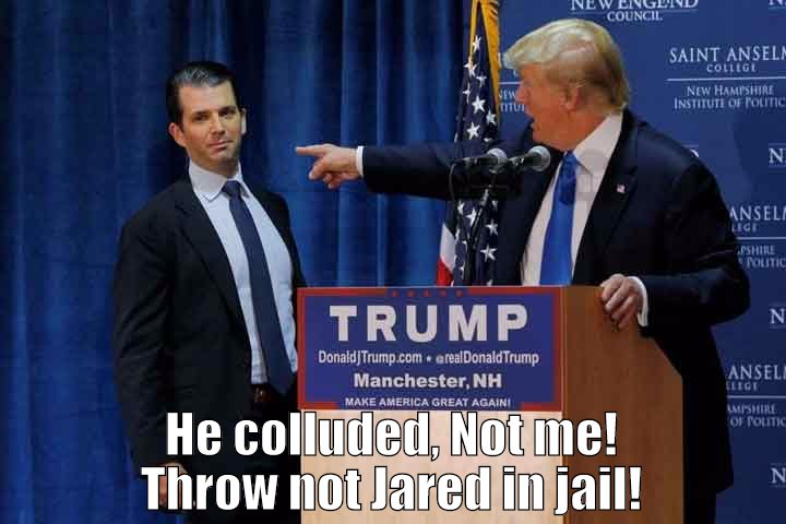 Trump reviles little Donnie ...and his son.