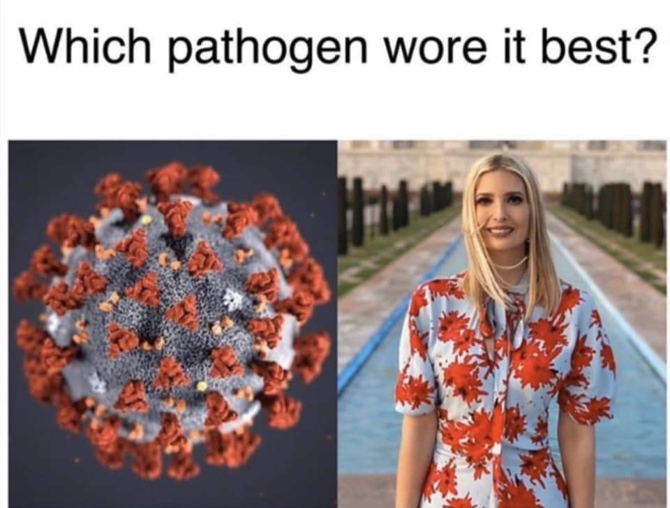 coronavirus vape - Which pathogen wore it best?