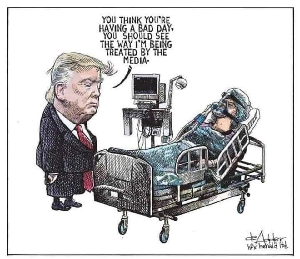 michael de adder cartoons 2019 - You Think You'Re Having A Bad Day, You Should See The Way I'M Being Treated By The Media hfx herala itd.