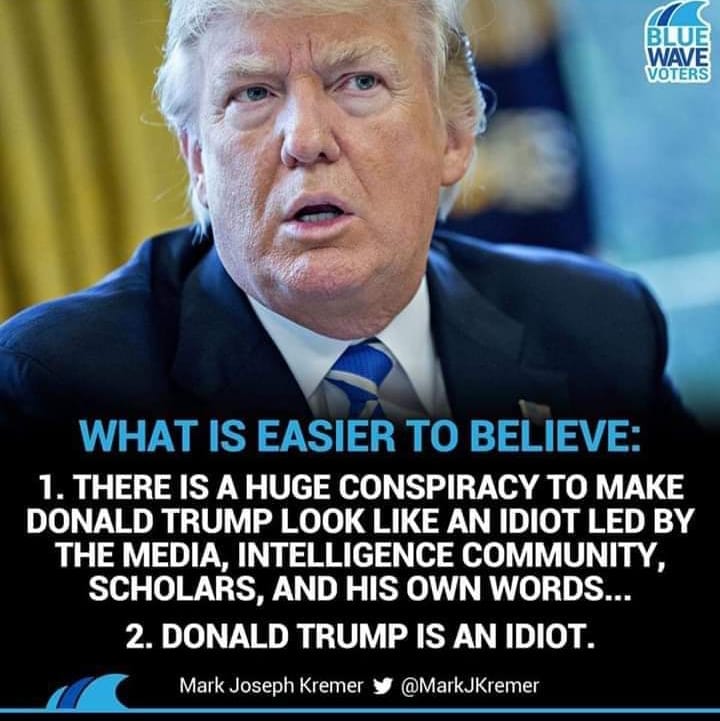 Donald Trump - Blue Wave Voters What Is Easier To Believe 1. There Is A Huge Conspiracy To Make Donald Trump Look An Idiot Led By The Media, Intelligence Community. Scholars, And His Own Words... 2. Donald Trump Is An Idiot. Mark Joseph Kremer y