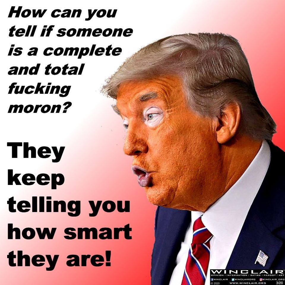 photo caption - How can you tell if someone is a complete and total fucking moron? They keep telling you how smart they are! Winclair Opinion Information Satire Parody Art Irwinclair Winclairorg Winclair Org 2020 320