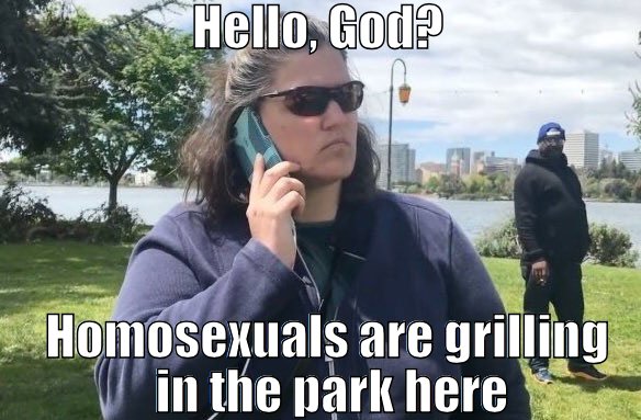 Homosexuals grilling in the park