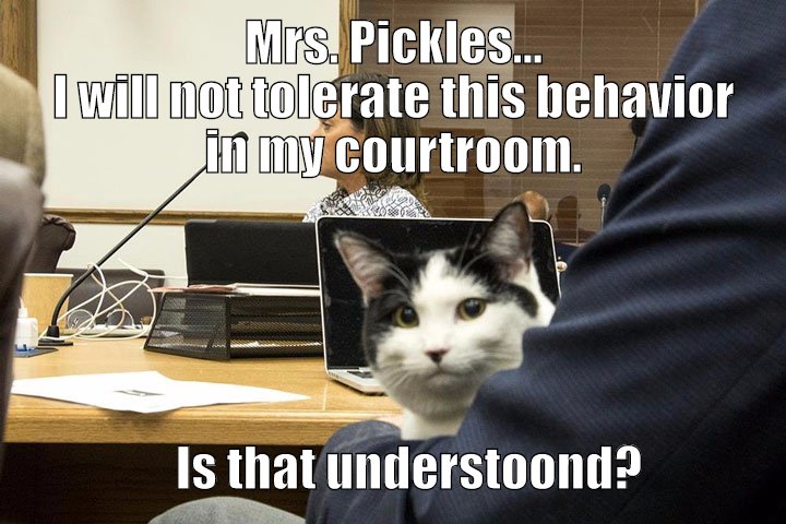 It looks like someone brought a cat to court.  And you know how cats behave.