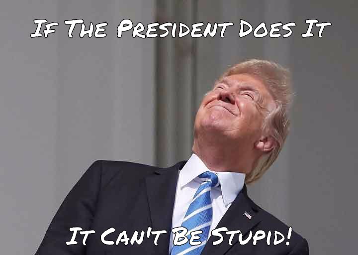 Stupid Is As Stupid Does