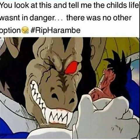 68 Dragon Ball Z Memes To Help You Through Your Day