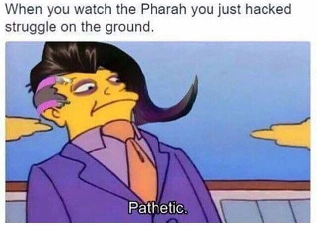 overwatch memes - When you watch the Pharah you just hacked struggle on the ground. Pathetic.
