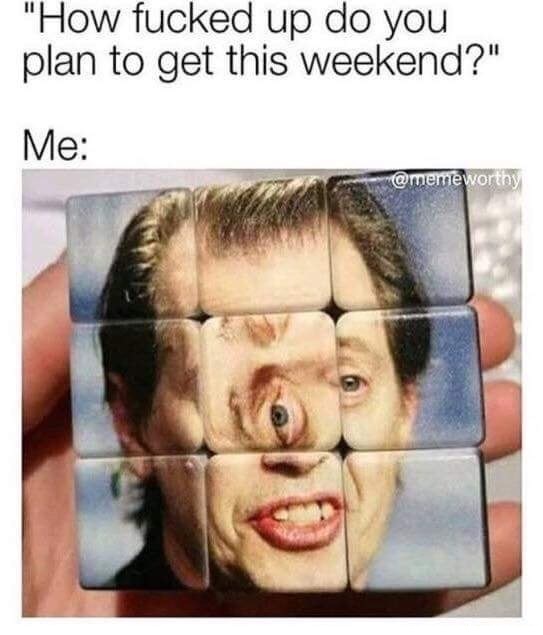 steve buscemi - "How fucked up do you plan to get this weekend?" Me