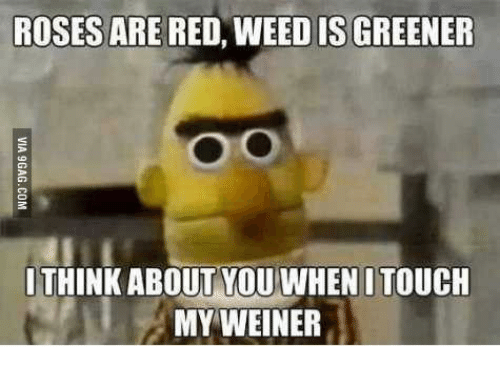 cheesy i love you memes - Roses Are Red, Weed Is Greener oo Via 9GAG.Com I Think About You When I Touch My Weiner