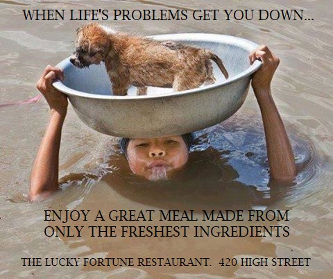 -or-
How to Wok A Dog.
Special of the day at the Lucky Fortune?