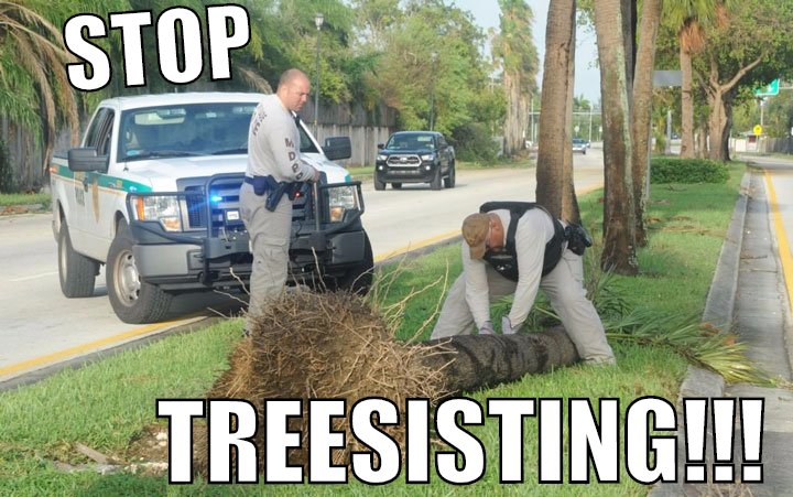 STOP TREESISTING!!!