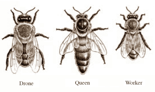 bees organizations in USA
Save the bees campaign in USA
Save the bees campaign in USA
Save the bees campaign in USA
Save the bees campaign in USA
Save the bees campaign in USA
Save the bees campaign in USA
Save the bees campaign in USA
Save the bees campaign in USA
Save the bees campaign in USA
Save the bees campaign in USA
Save the bees campaign in USA