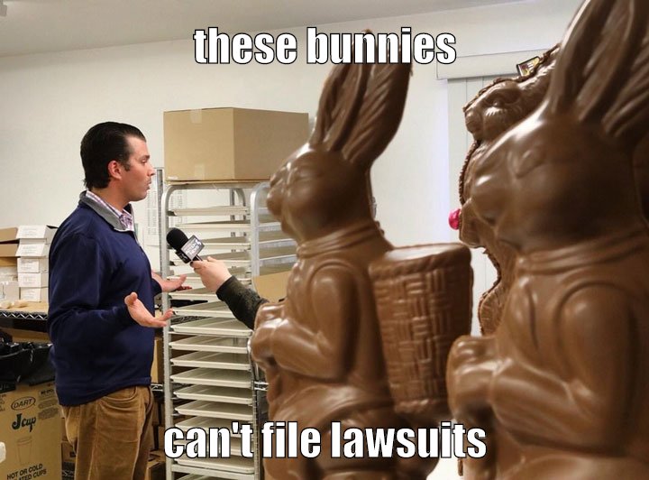 bunnies lawsuits