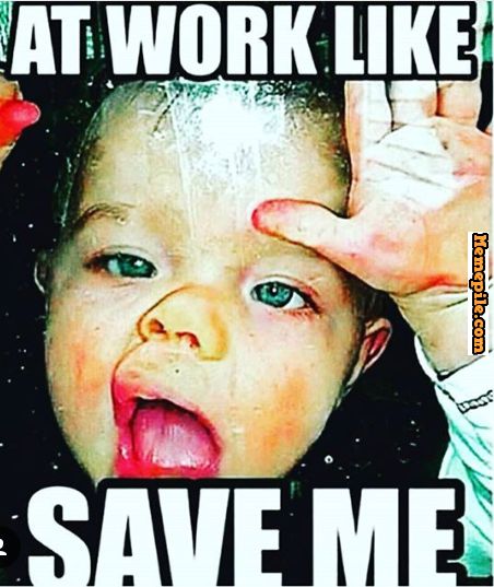 meme save me funny meme - Eat Work ! Memepile.com Save Me