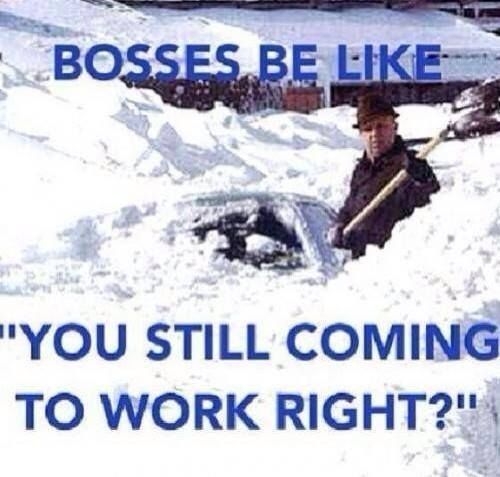 meme going to work in the snow - Bosses Be "You Still Coming To Work Right?"