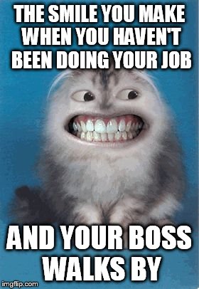 meme kuala lumpur - The Smile You Make When You Haven'T Been Doing Your Job And Your Boss Walks By imgflip.com