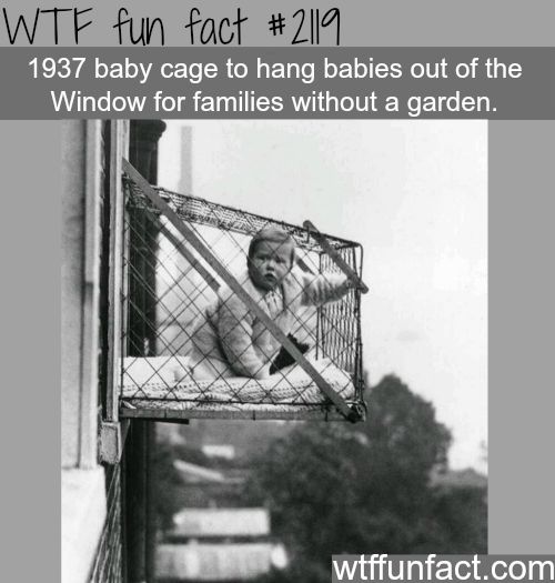 wtf facts - kid hanging out window - Wtf fun fact | 1937 baby cage to hang babies out of the Window for families without a garden. wtffunfact.com