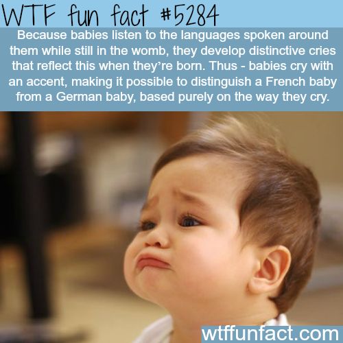 wtf facts - fun facts about babies - Wtf fun fact Because babies listen to the languages spoken around them while still in the womb, they develop distinctive cries that reflect this when they're born. Thus babies cry with an accent, making it possible to 