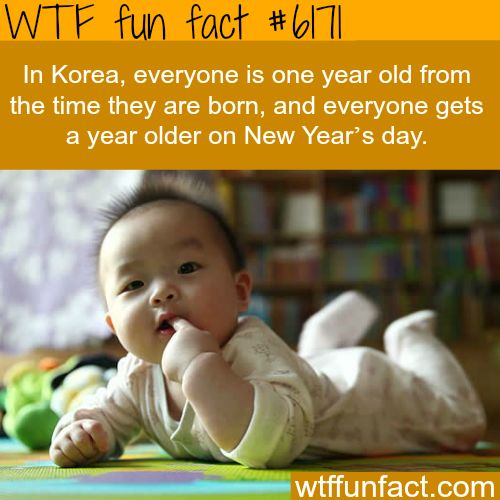 wtf facts - wtf facts - Wtf fun fact In Korea, everyone is one year old from the time they are born, and everyone gets a year older on New Year's day. wtffunfact.com