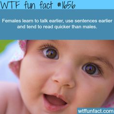 wtf facts - fun facts about babies - Wtf fun fact . Females learn to talk earlier, use sentences earlier and tend to read quicker than males. wtffunfact.com