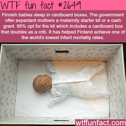 wtf facts - fun facts about babies - Wtf fun fact Finnish babies sleep in cardboard boxes. The government offer expectant mothers a maternity starter kit or a cash grant. 95% opt for the kit which includes a cardboard box that doubles as a crib. It has he