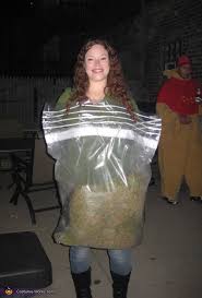 bag of weed halloween costume
