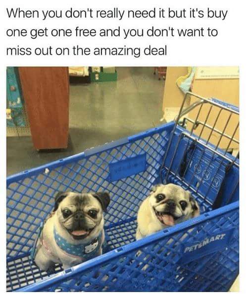 puppy in shopping cart meme - When you don't really need it but it's buy one get one free and you don't want to miss out on the amazing deal Petsmart