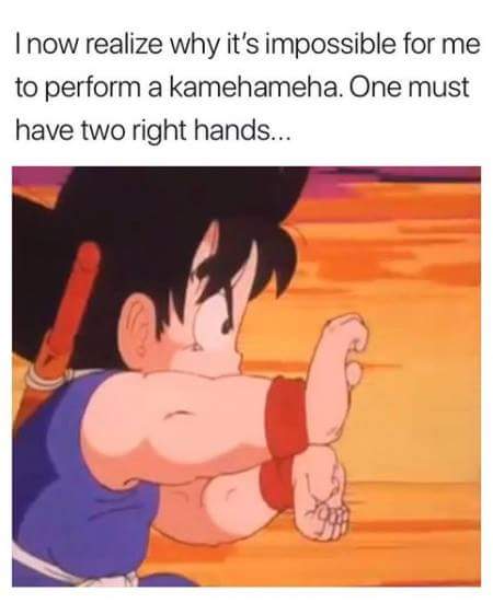 kamehameha two right hands - I now realize why it's impossible for me to perform a kamehameha. One must have two right hands...