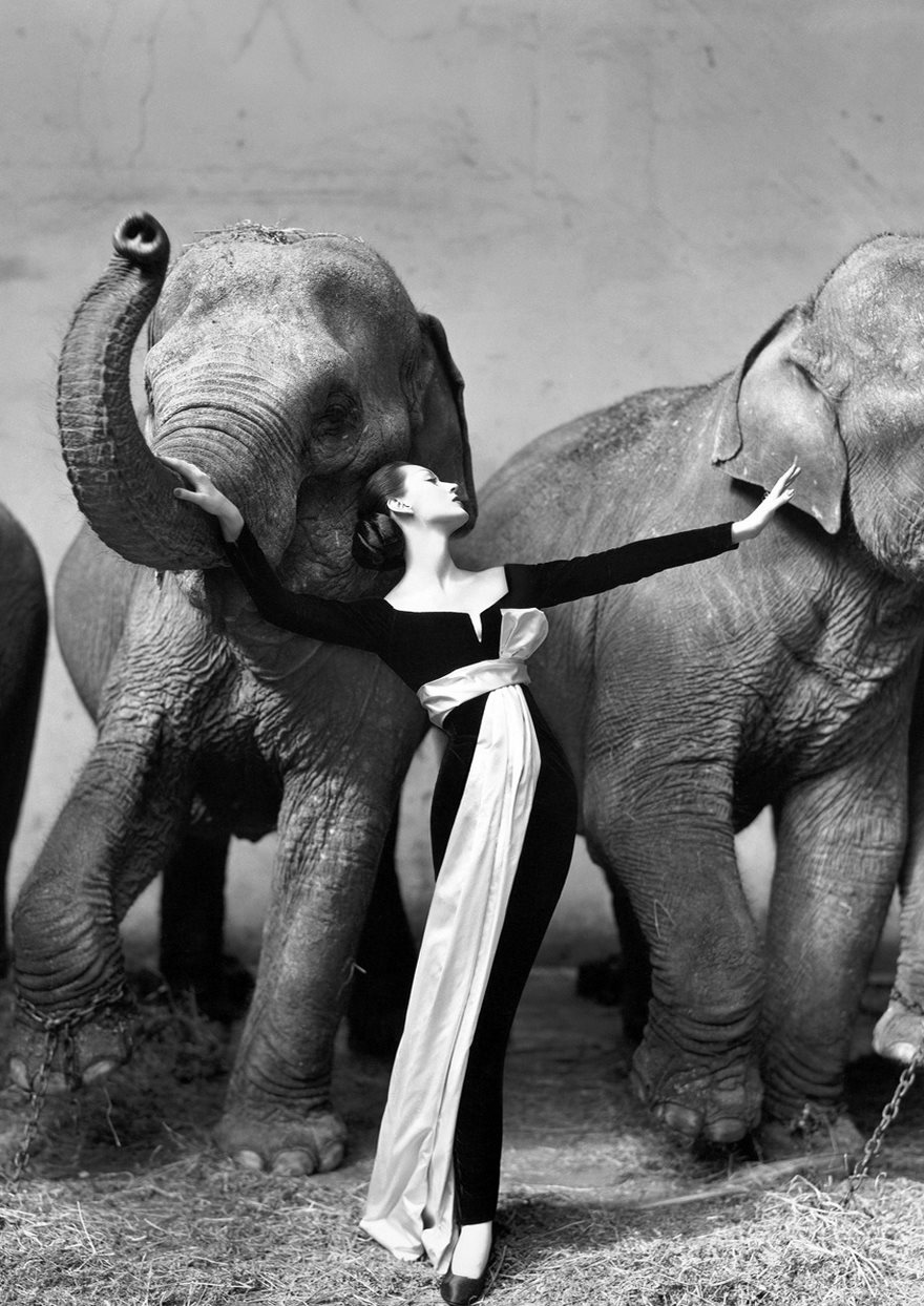 Dovima With Elephants, Paris, August, Richard Avedon, 1955. When Richard Avedon photographed Dovima at a Paris circus in 1955 for Harper’s Bazaar, both were already prominent in their fields. She was one of the world’s most famous models, and he was one of the most famous fashion photographers. It makes sense, then, that Dovima With Elephants is one of the most famous fashion photographs of all time. But its enduring influence lies as much in what it captures as in the two people who made it. Dovima was one of the last great models of the sophisticated mold, when haute couture was a relatively cloistered and elite world. After the 1950s, models began to gravitate toward girl-next-door looks instead of the old generation’s unattainable beauty, helping turn high fashion into entertainment. Dovima With Elephants distills that shift by juxtaposing the spectacle and strength of the elephants with Dovima’s beauty—and the delicacy of her gown, which was the first Dior dress designed by Yves Saint Laurent. The picture also brings movement to a medium that was previously typified by stillness. Models had long been mannequins, meant to stand still while the clothes got all the attention. Avedon saw what was wrong with that equation: clothes didn’t just make the man; the man also made the clothes. And by moving models out of the studio and placing them against exciting backdrops, he helped blur the line between commercial fashion photography and art. In that way, Dovima With Elephants captures a turning point in our broader culture: the last old-style model, setting fashion off on its new path.