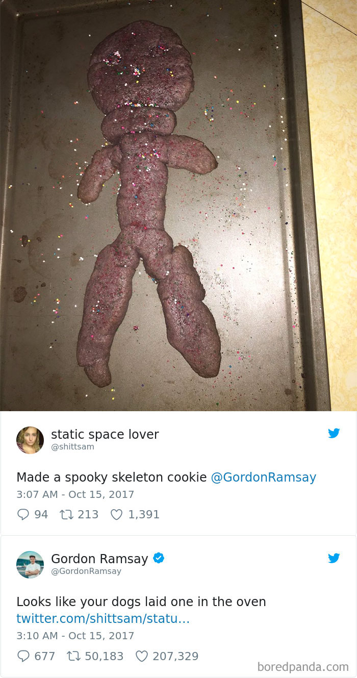 Gordon Ramsay - static space lover Made a spooky skeleton cookie Ramsay 94 12 213 1,391 Gordon Ramsay Ramsay Looks your dogs laid one in the oven twitter.comshittsamstatu... 9 677 22 50,183 207,329 boredpanda.com