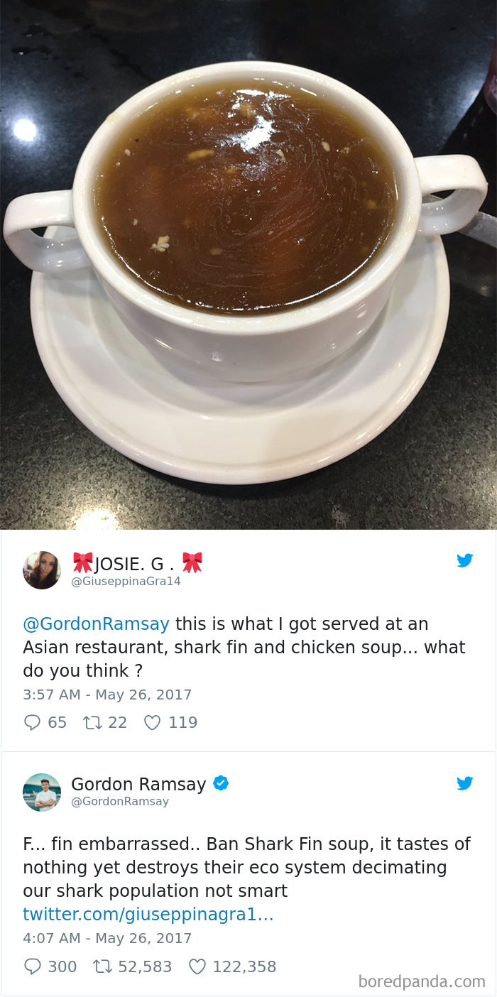 gordon ramsay blt twitter - Josie. G. Gra14 Ramsay this is what I got served at an Asian restaurant, shark fin and chicken soup... what do you think? 9 65 12 22 119 Gordon Ramsay Ramsay F... fin embarrassed.. Ban Shark Fin soup, it tastes of nothing yet d