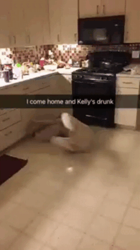 40 Times People Got Too Drunk