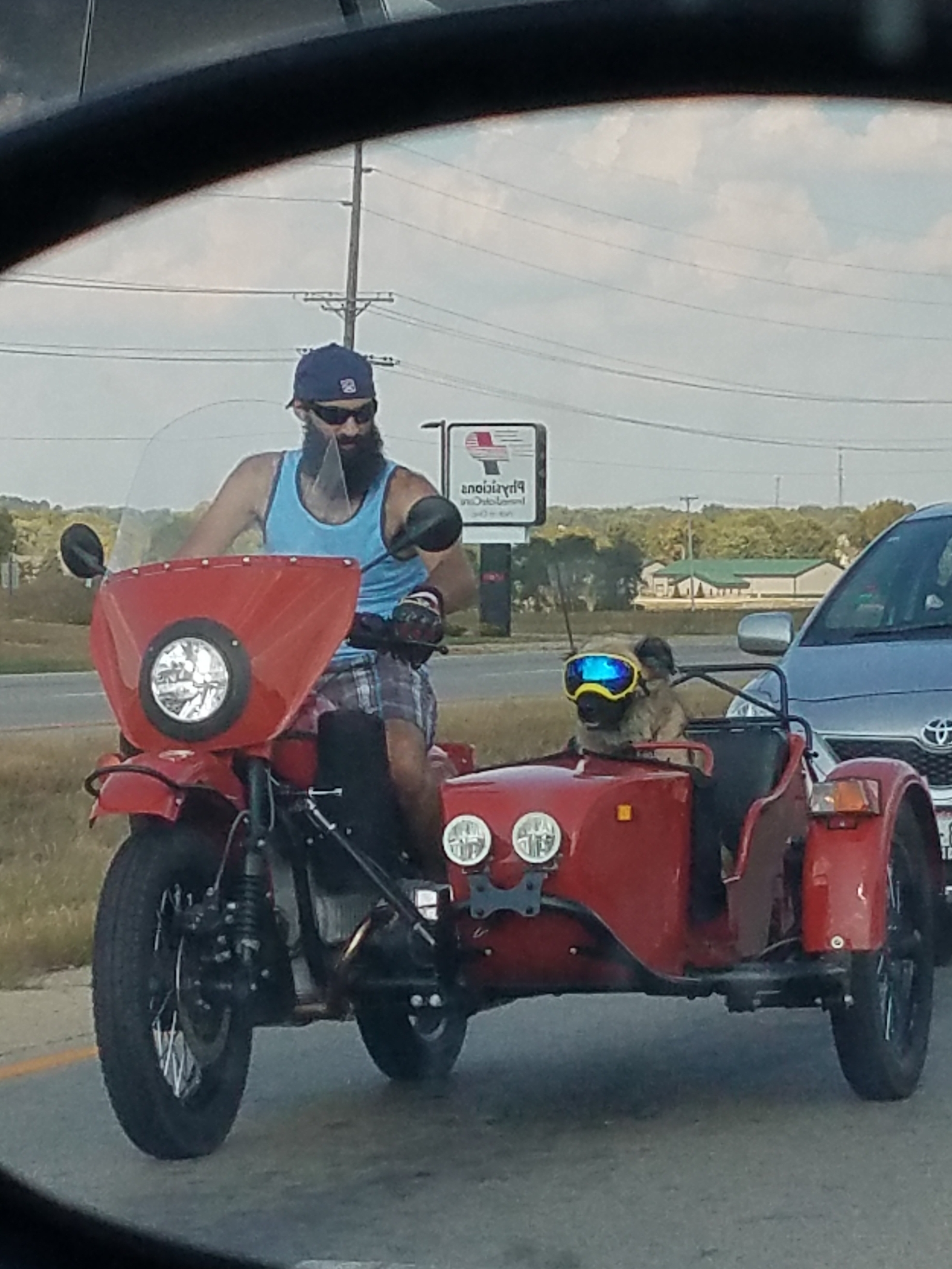 Doggo copilot