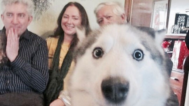 Photobombs!