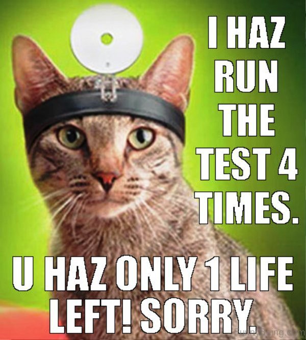 Wednesday meme with cat doctor diagnosing you with one life