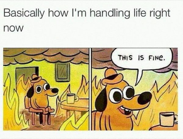 Wednesday meme about living life as the dog in the burning house comic