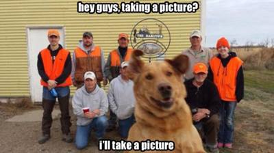 dog - hey guys, taking a picture? i'll take a picture