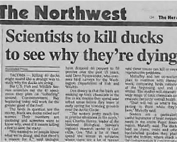 headline funny - 4 The Her The Northwest Scientists to kill ducks to see why they're dying have drop Rigt Towy w Tacoma Me Nywer Mayhem th e Wat Hanns W wycie I wil G Ren Dus and wildete al with Out That Nak diden Ot "The the out being with it The Nin t h