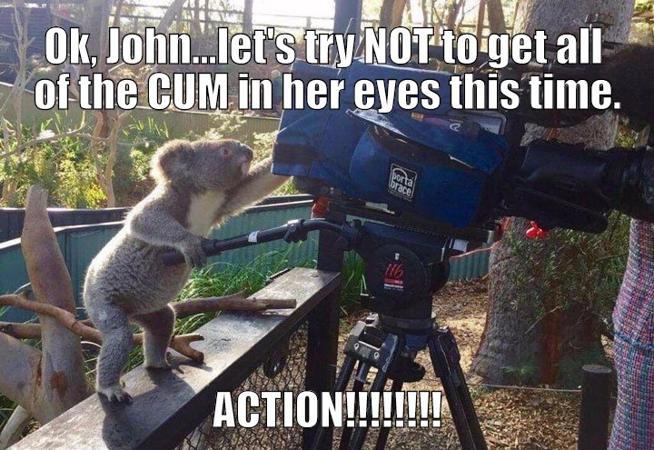 Koala directs a Porno.