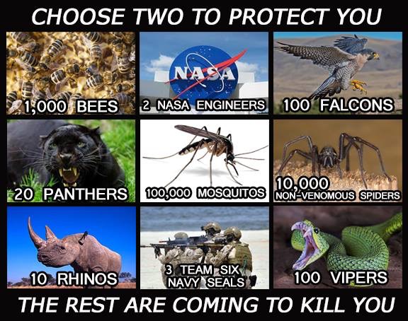 Which two would you choose to protect you?