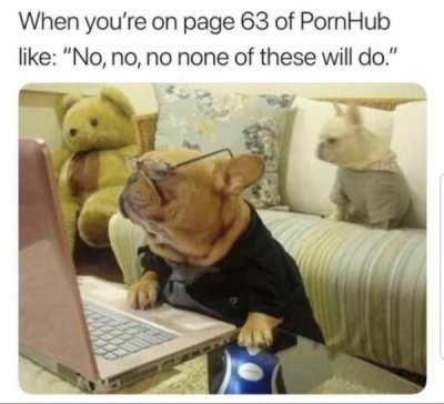 let me google that for you - When you're on page 63 of PornHub "No, no, no none of these will do."