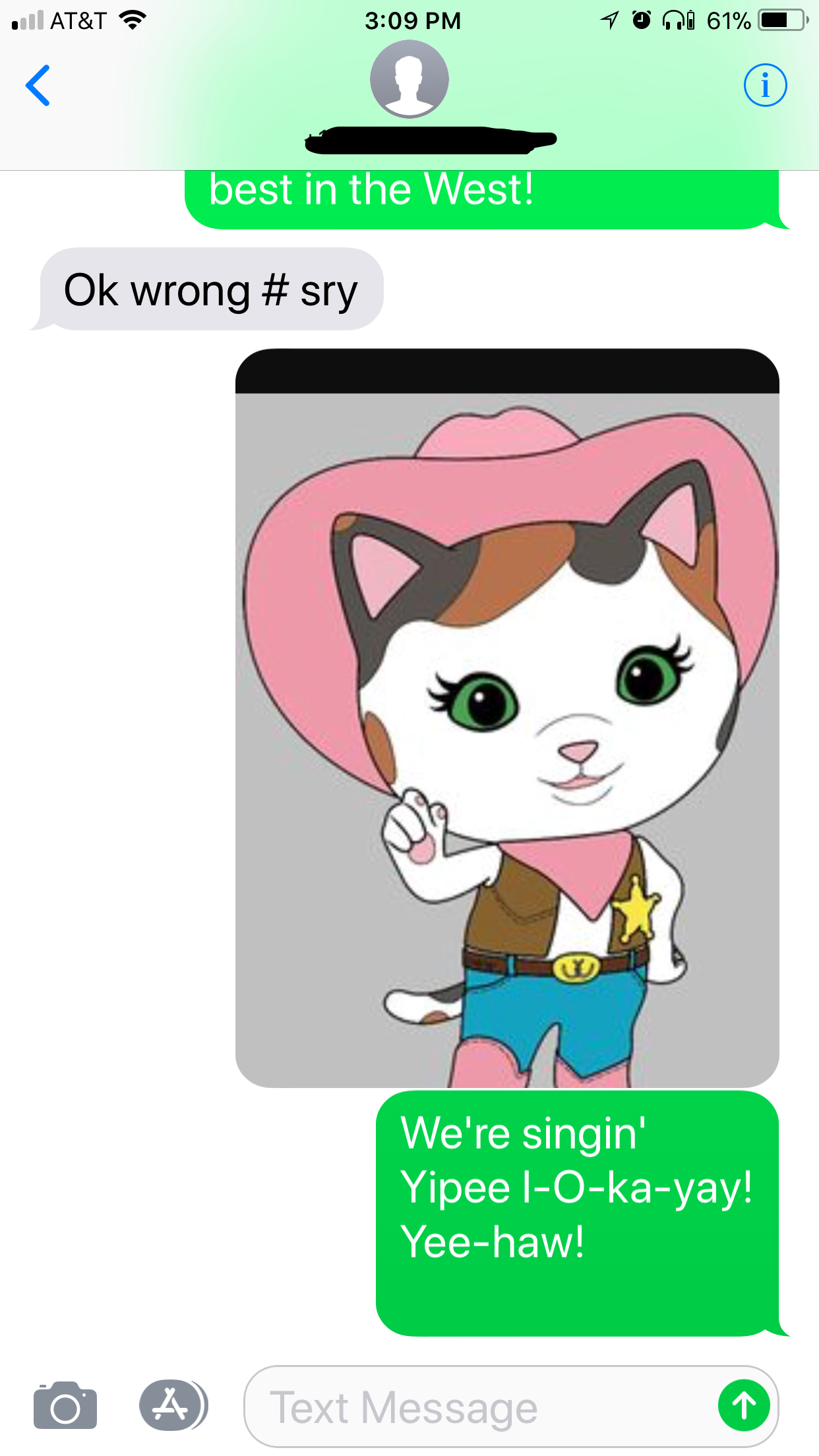 sheriff callie memes - At&T Yo 61% best in the West! Ok wrong We're singin' YipeelOkayay! Yeehaw! O A Text Message