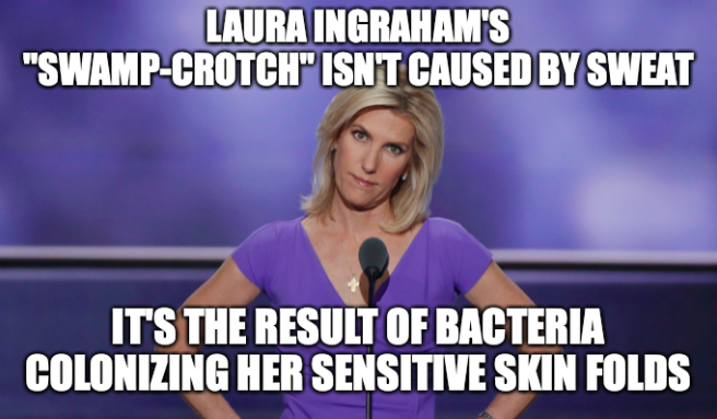 photo caption - Laura Ingraham'S "SwampCrotch" Isnt Caused By Sweat It'S The Result Of Bacteria Colonizing Her Sensitive Skin Folds