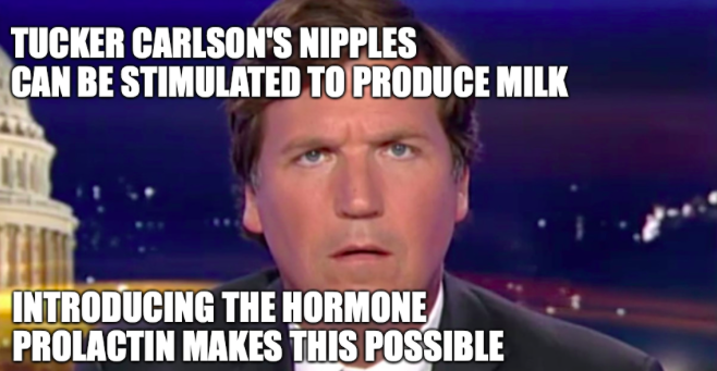 photo caption - Tucker Carlson'S Nipples Can Be Stimulated To Produce Milk Introducing The Hormone Prolactin Makes This Possible