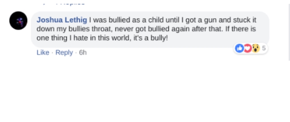 diagram - Joshua Lethig I was bullied as a child until I got a gun and stuck it down my bullies throat, never got bullied again after that. If there is one thing I hate in this world, it's a bully! D5 6h