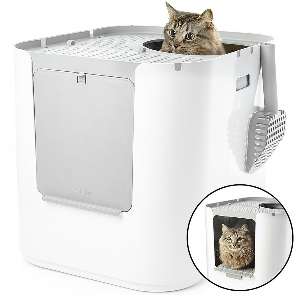 Cats are fairly self-sustaining, but having to clean their litter box can be a pain.<br><br>Automatize your pet care with a robot-shit-box available <a href=https://amzn.to/2vxcTIq "nofollow" target="_blank">here</a>.