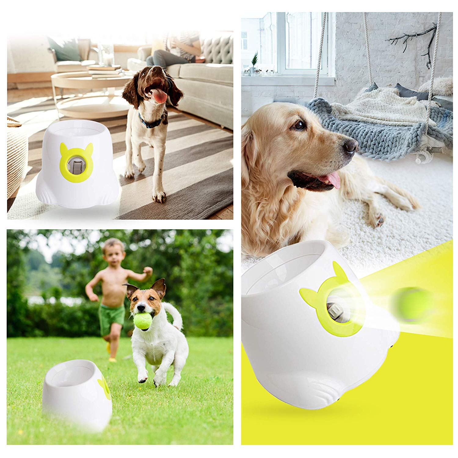 Does your dog have too much energy? Probably not more than a robot.<br><br>Exhaust your pup with an automatic fetch machine available <a href="https://amzn.to/2NOHxnE" target="_blank" "nofollow">here</a>.