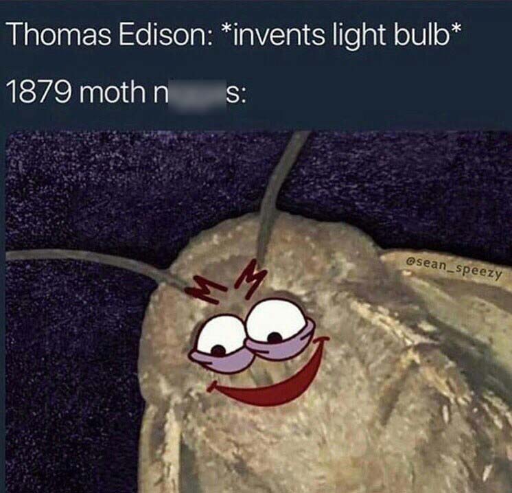 Moth Meme mixed with Patrick Star meme with the text Thomas Edison invents light bulb, 1879 moths