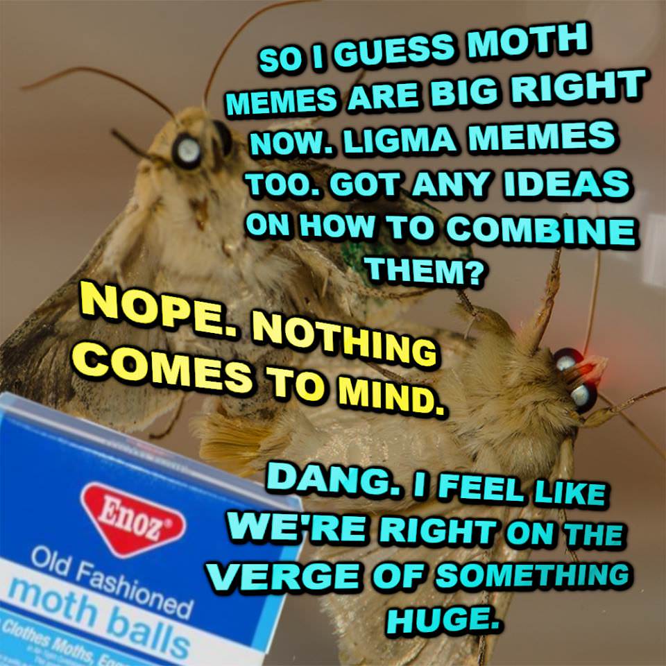 15 Trending Moth Memes That'll Make You Laugh